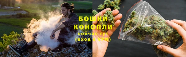 мдпв Бронницы