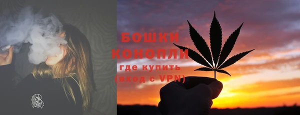 ГАЛЛЮЦИНОГЕННЫЕ ГРИБЫ Бородино