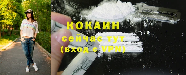 ГАЛЛЮЦИНОГЕННЫЕ ГРИБЫ Бородино