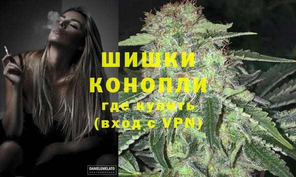 мдпв Бронницы