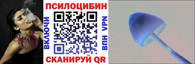 darknet официальный сайт  Демидов  Галлюциногенные грибы Psilocybe 